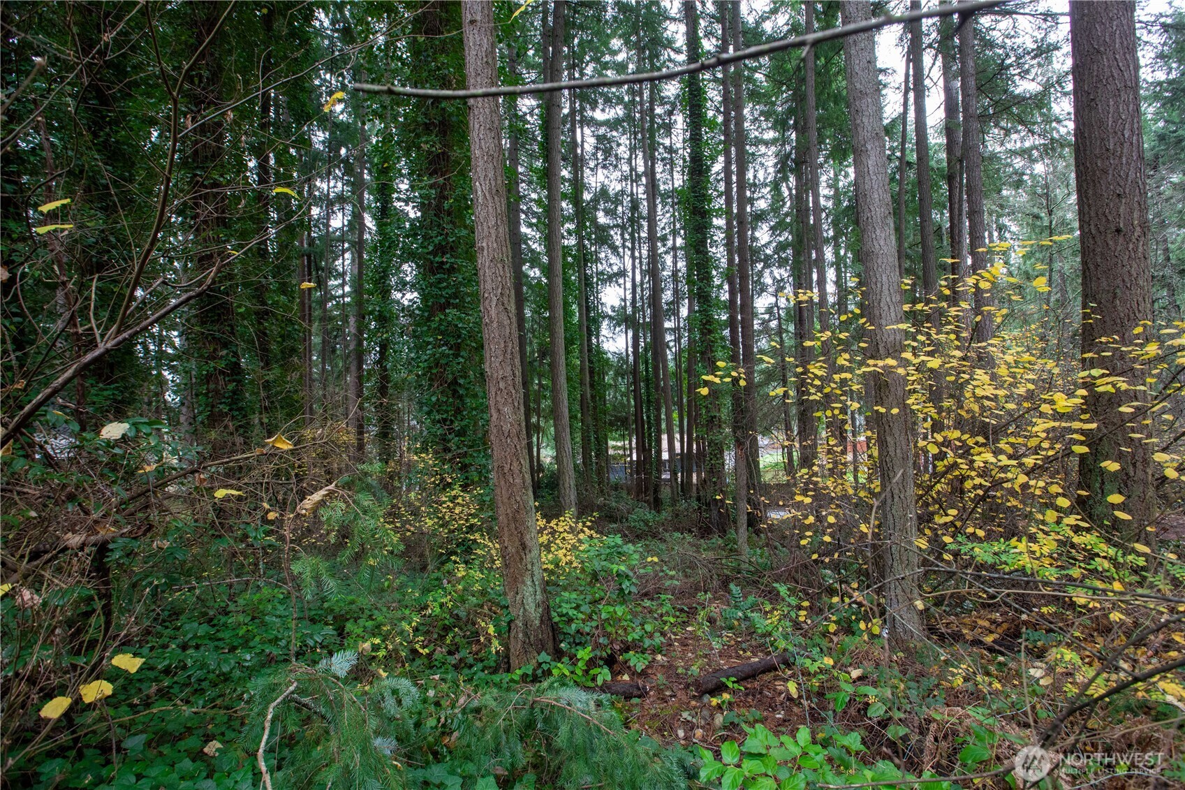 6943 20th Avenue Property Photo 3