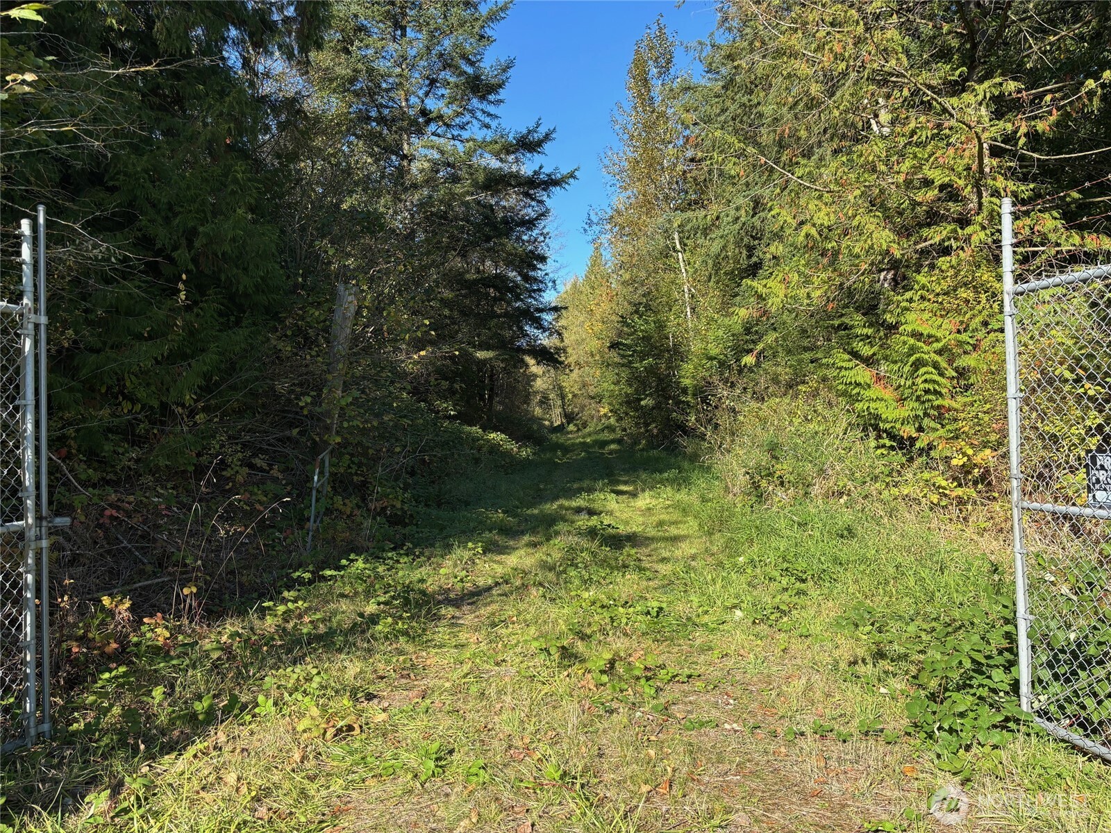 2046 Burk Road Property Photo 3