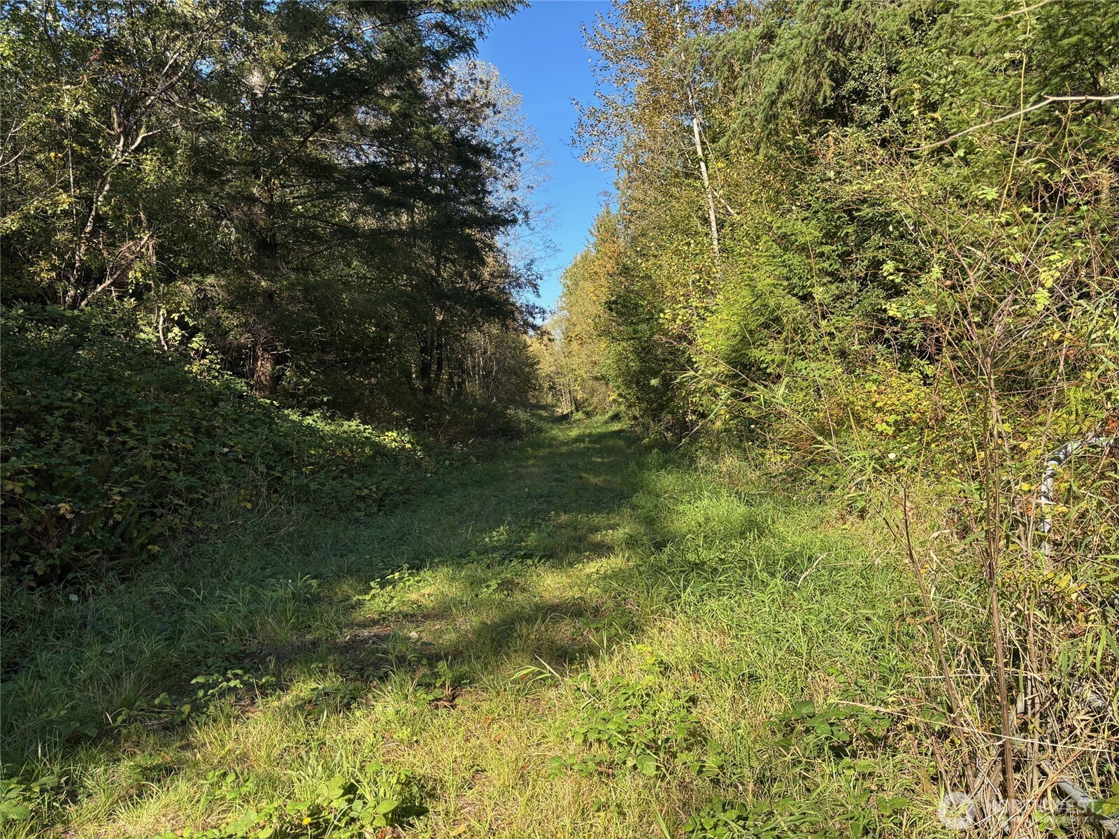 2046 Burk Road Property Photo 4