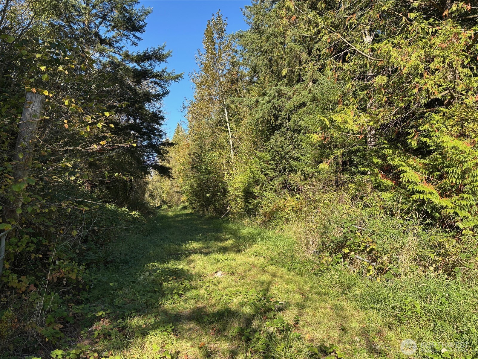 2046 Burk Road Property Photo 5