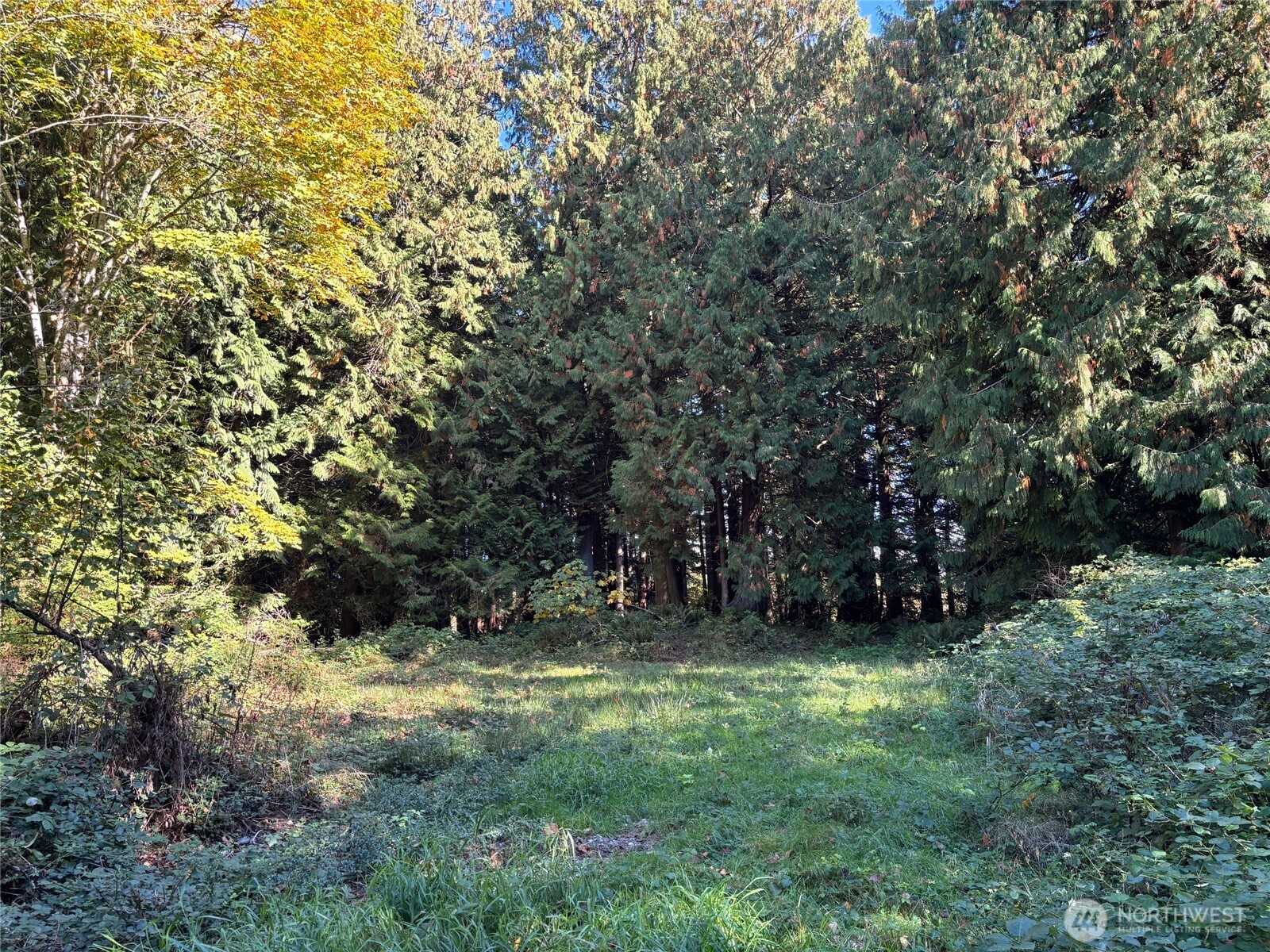 2046 Burk Road Property Photo 6