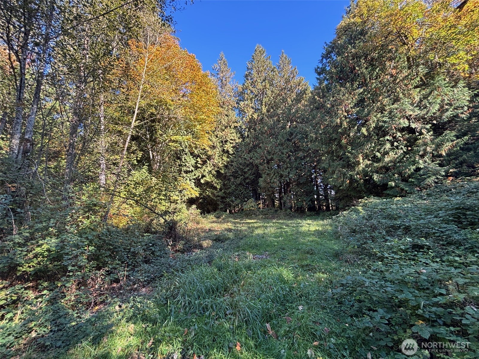 2046 Burk Road Property Photo 7