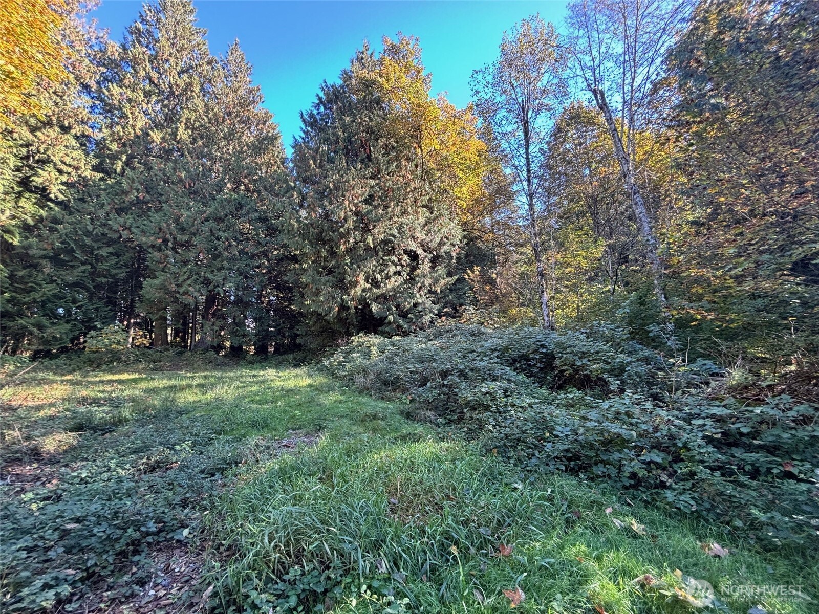 2046 Burk Road Property Photo 8