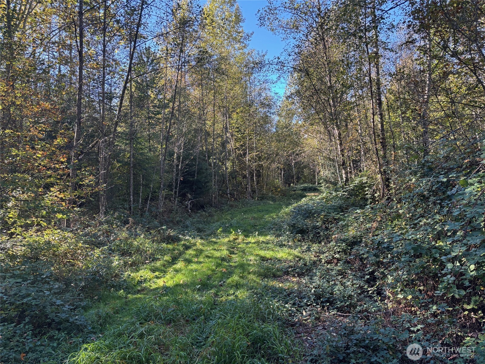 2046 Burk Road Property Photo 9