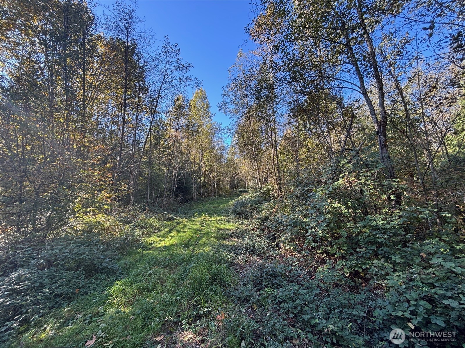 2046 Burk Road Property Photo 10