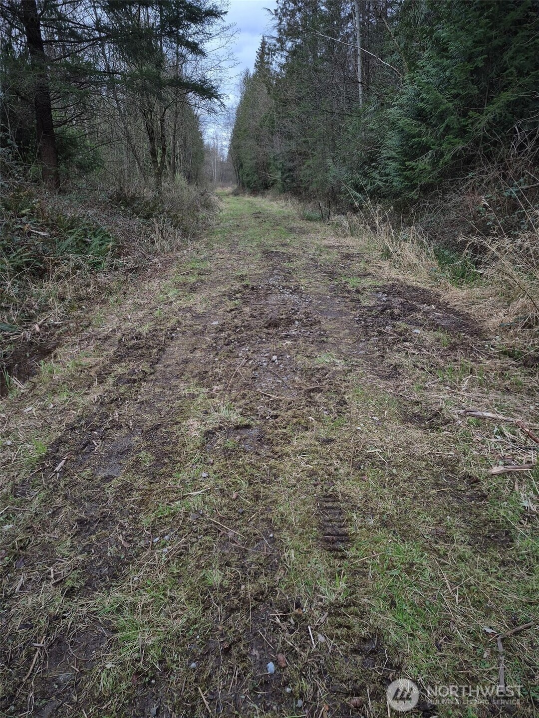 2046 Burk Road Property Photo 11