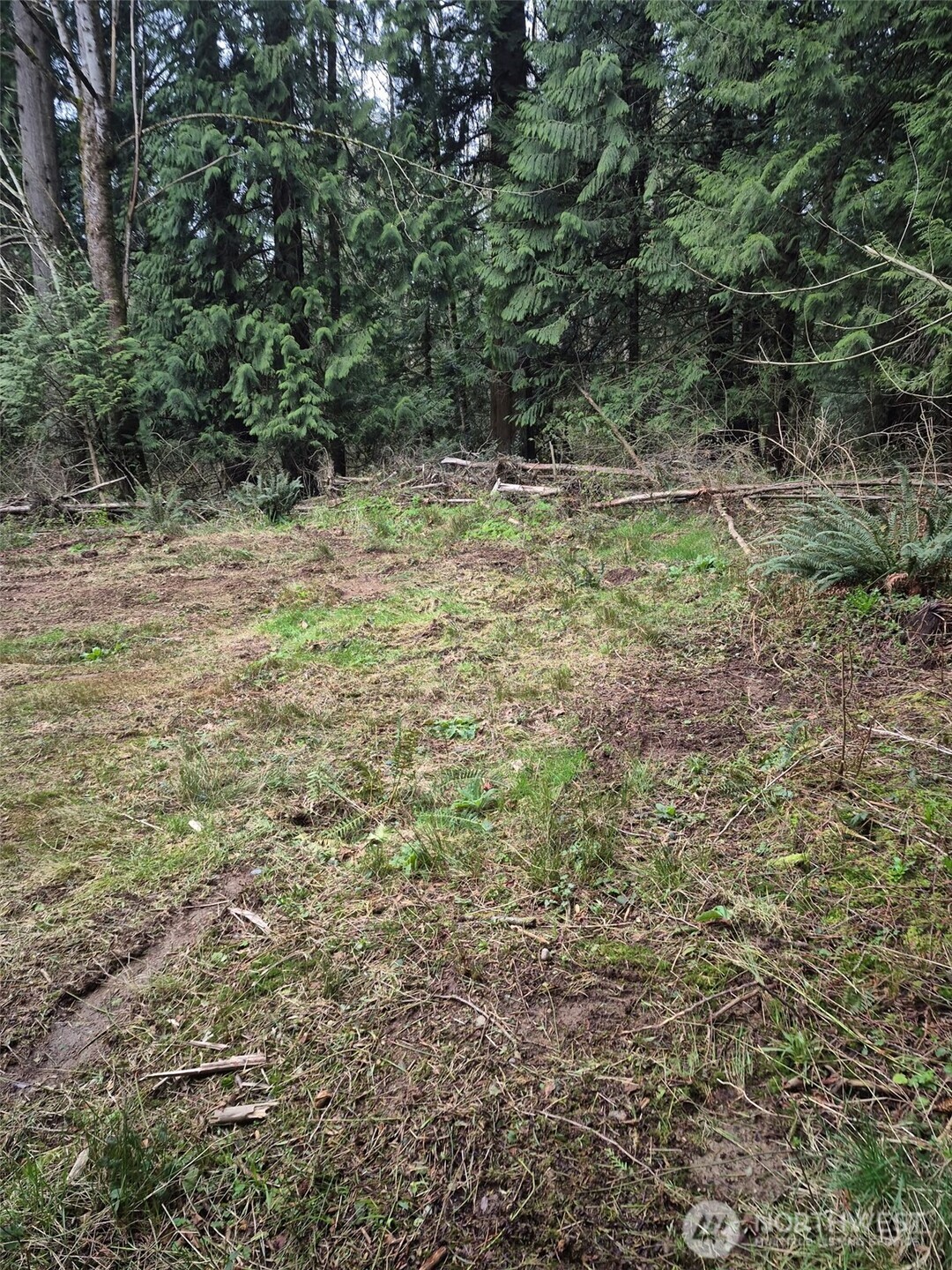 2046 Burk Road Property Photo 14