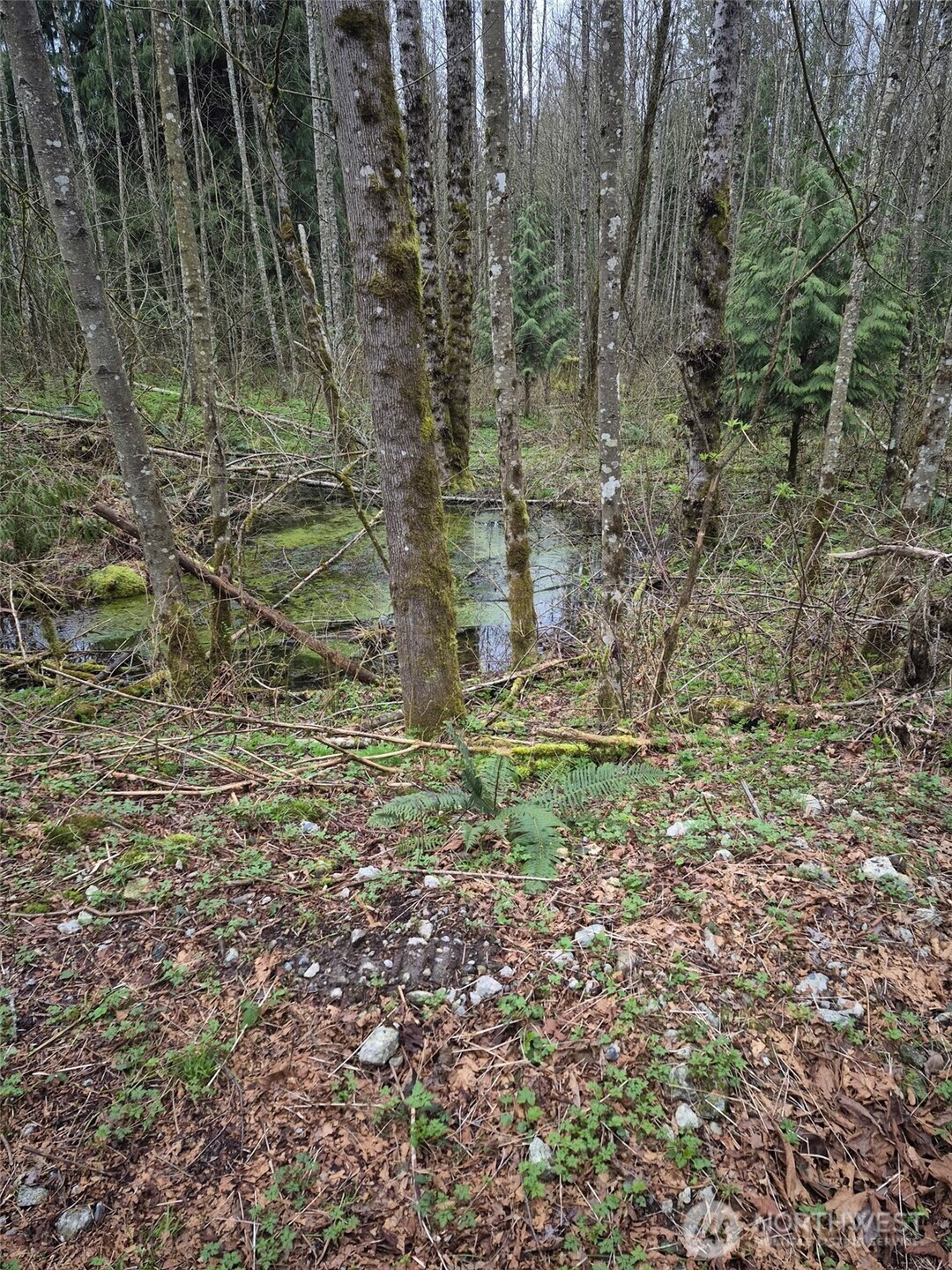 2046 Burk Road Property Photo 16