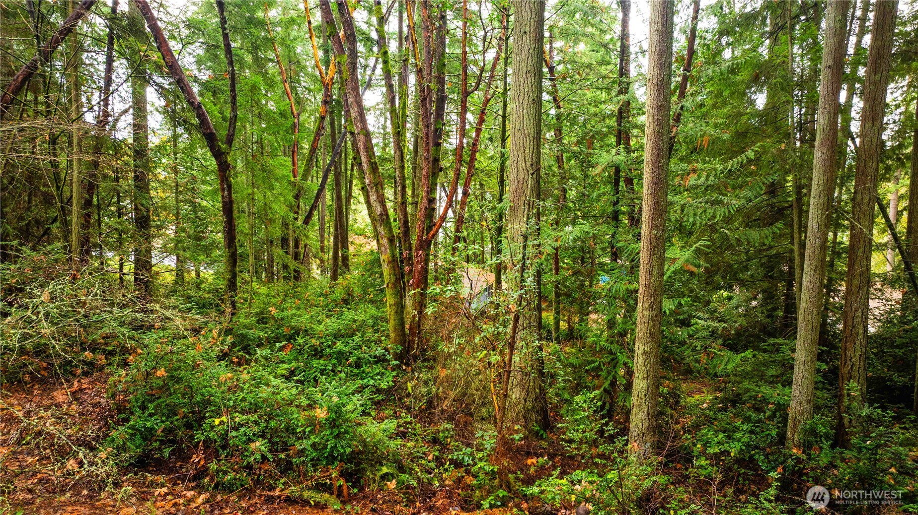 0 Xxxx Allview Boulevard Property Photo 11