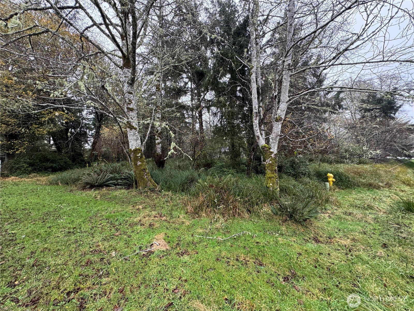 764 Tern Court Property Photo 2