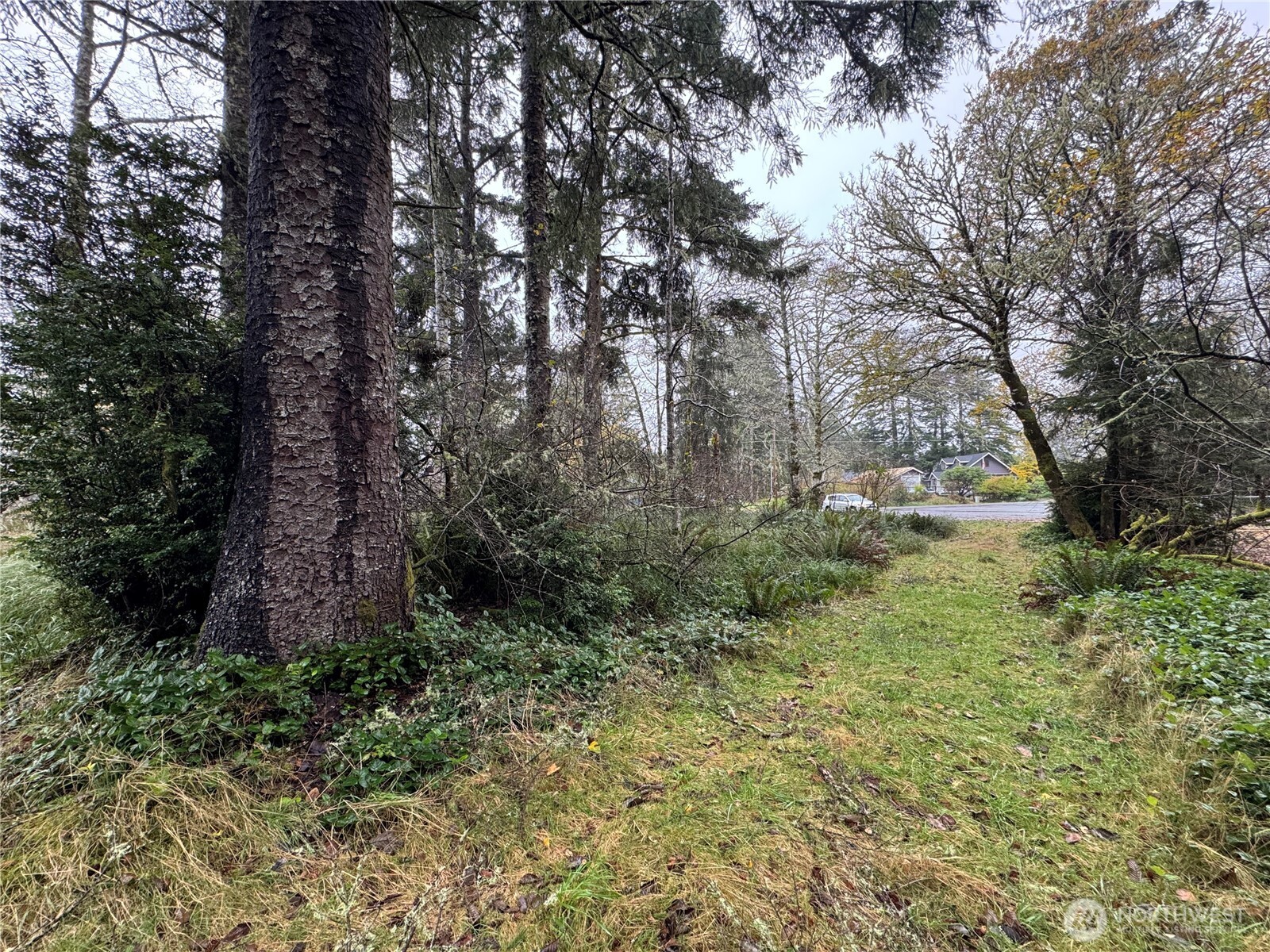 764 Tern Court Property Photo 5