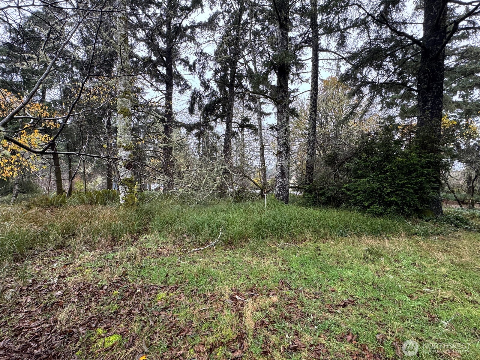 764 Tern Court Property Photo 6
