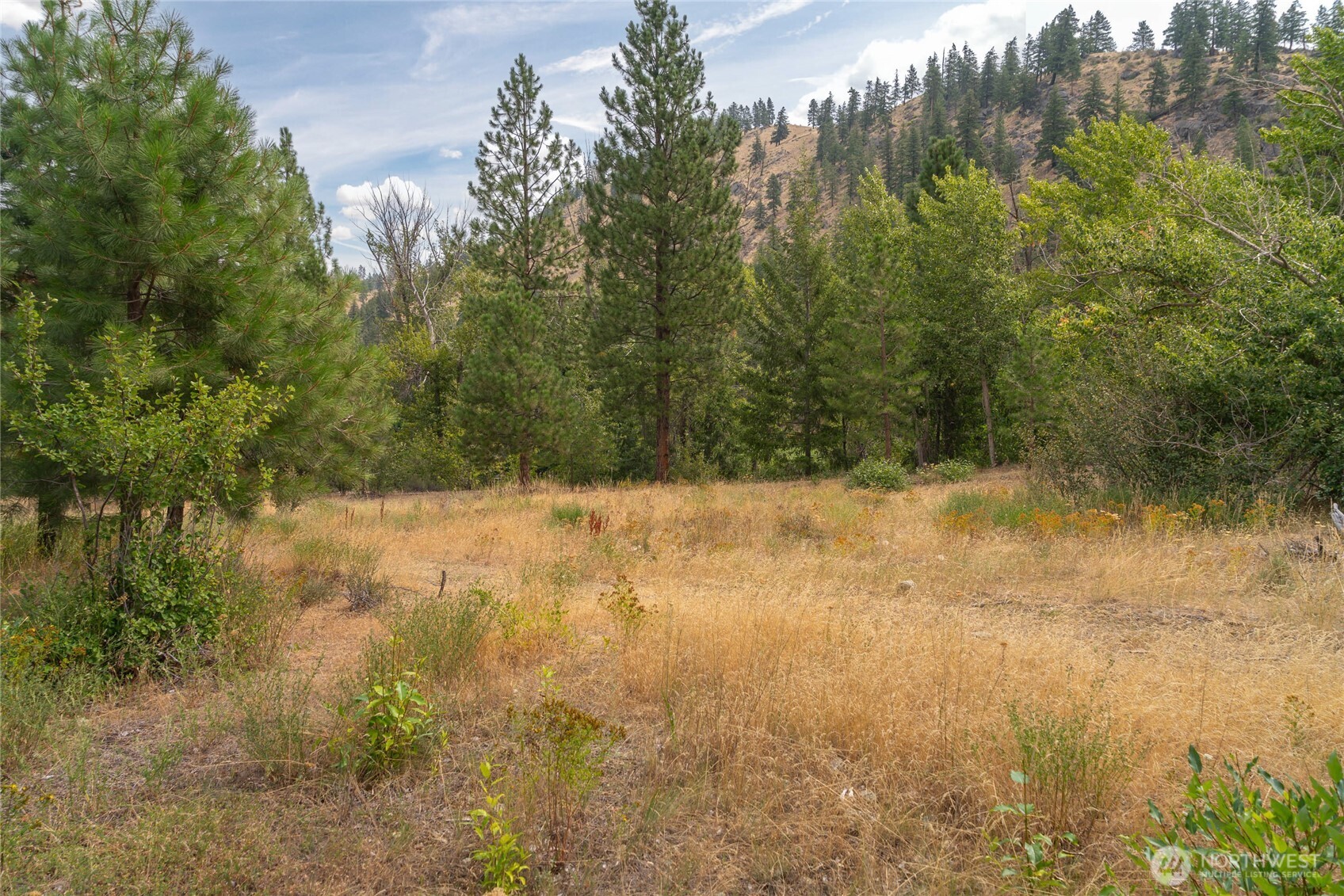 309 Mad Ranch Lane Property Photo 14