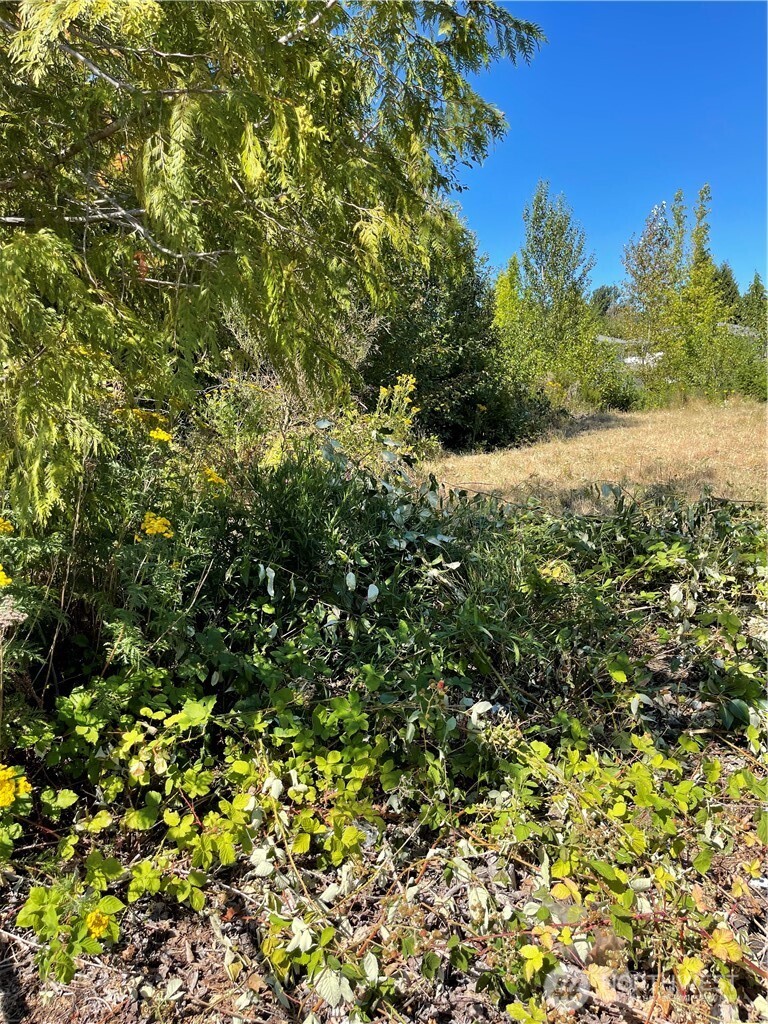 1726 Duvall Avenue Property Photo 10