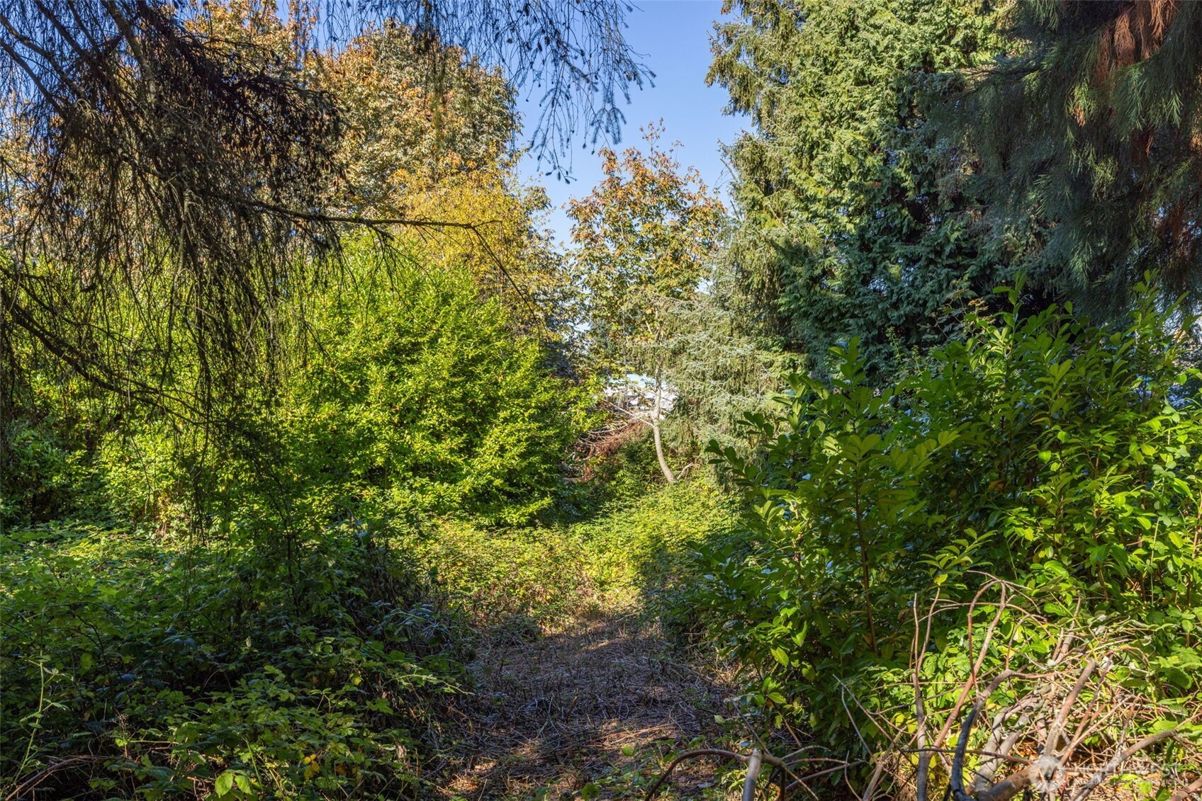 12900 Beverly Park Road Property Photo 13