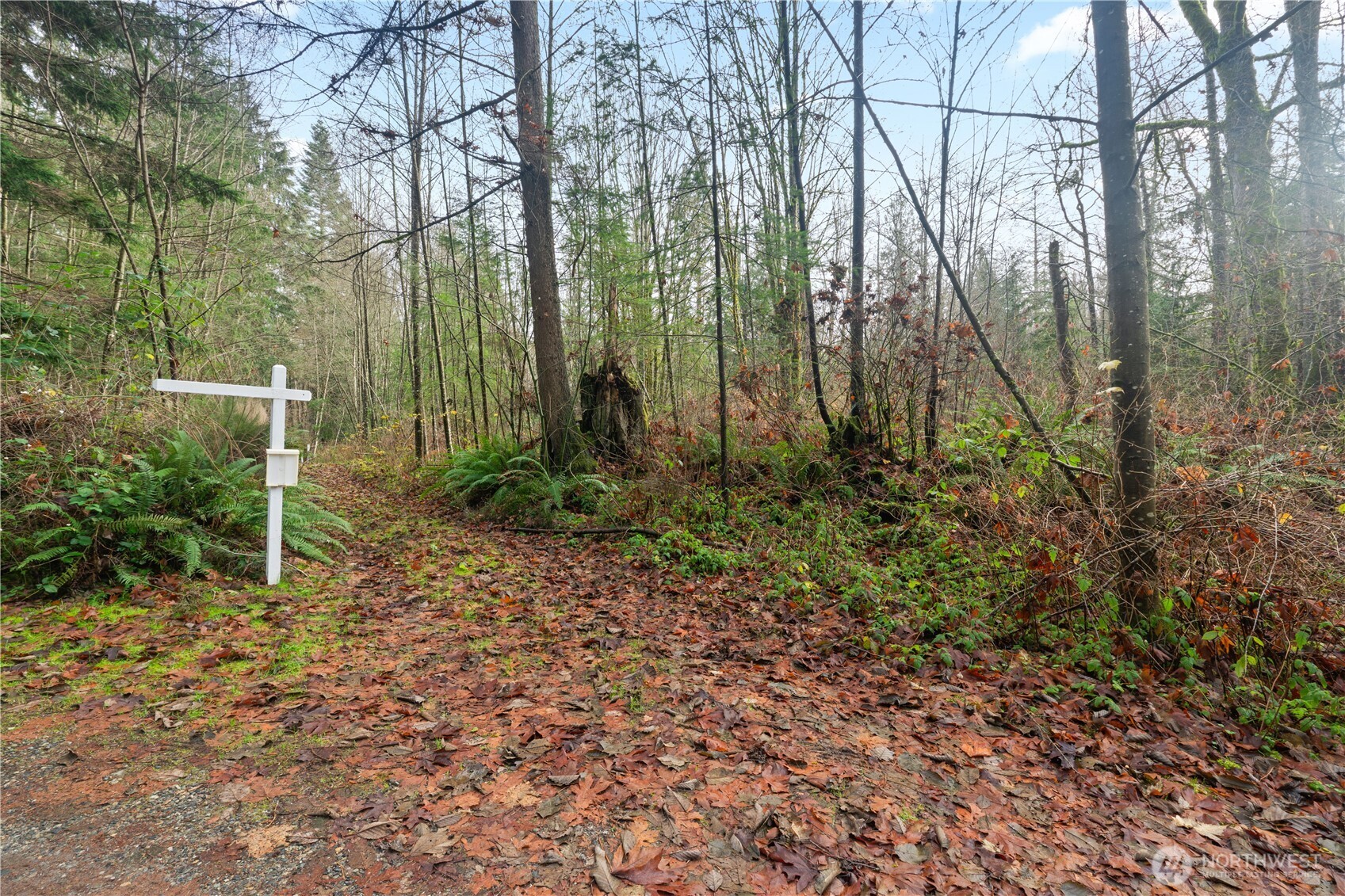 2031 Camber Lane Property Photo 7