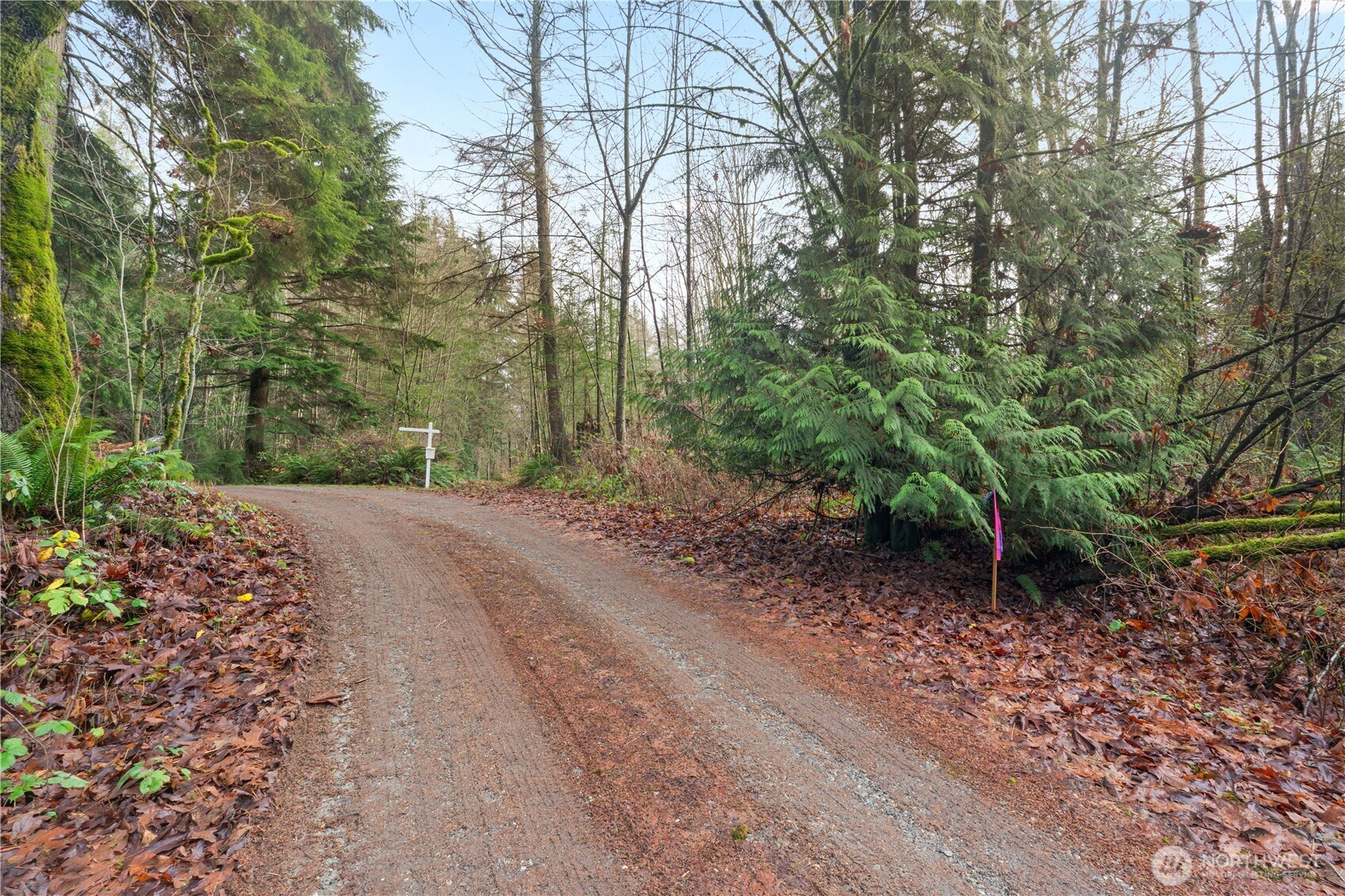 2031 Camber Lane Property Photo 8