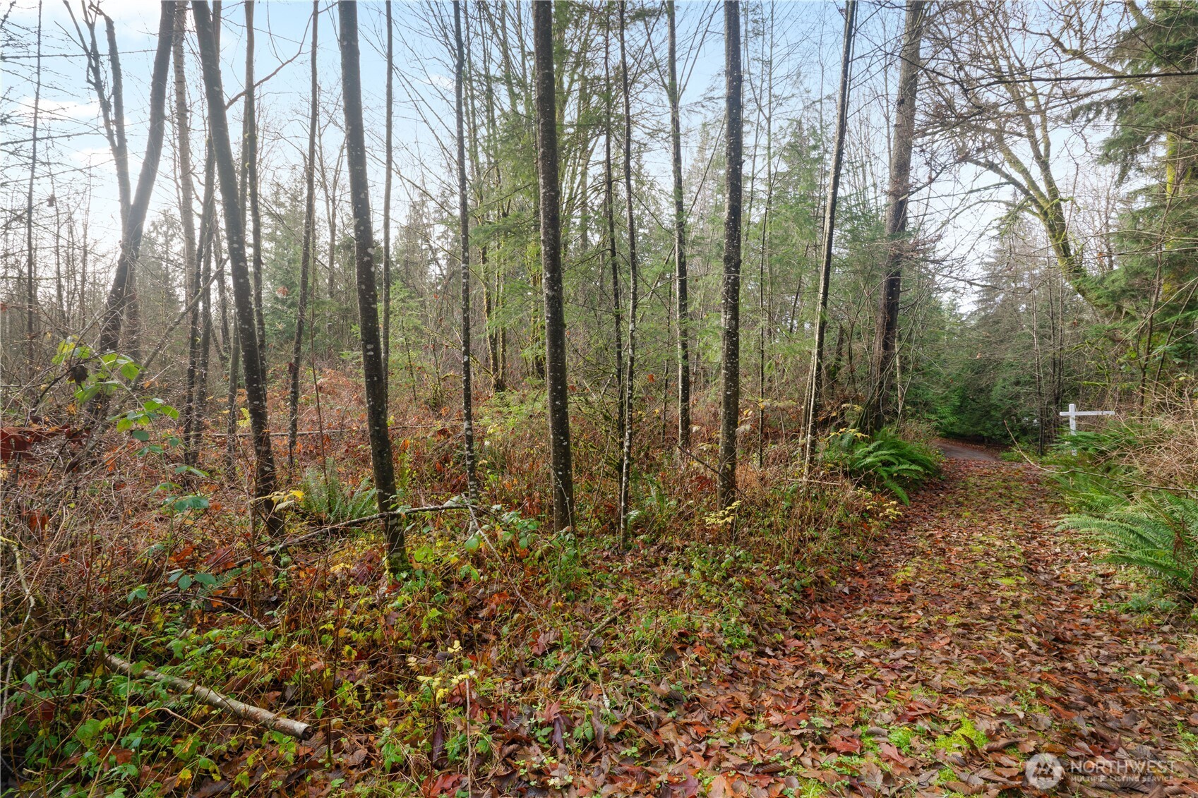 2031 Camber Lane Property Photo 10