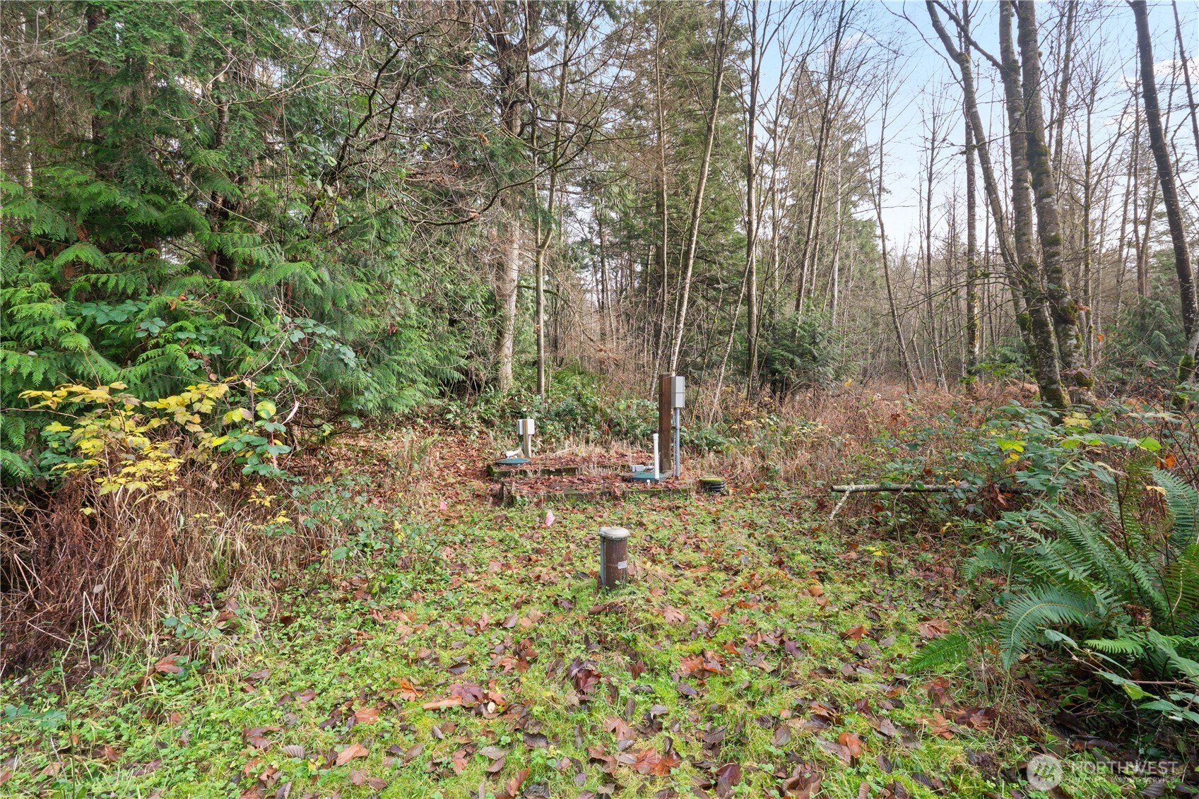 2031 Camber Lane Property Photo 11