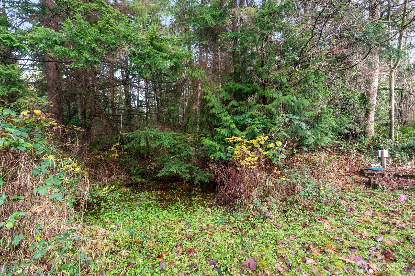 2031 Camber Lane Property Photo 12