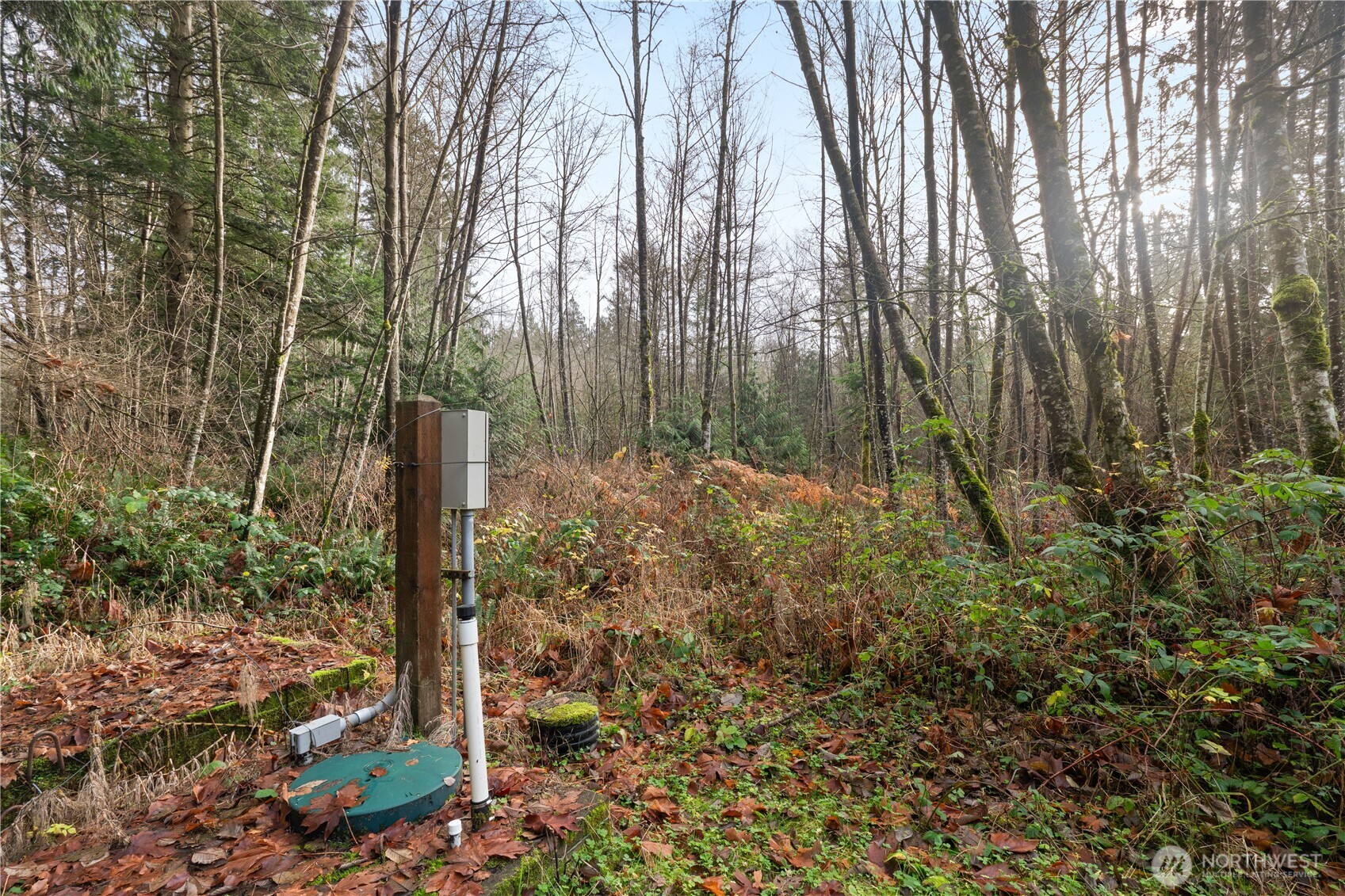 2031 Camber Lane Property Photo 13