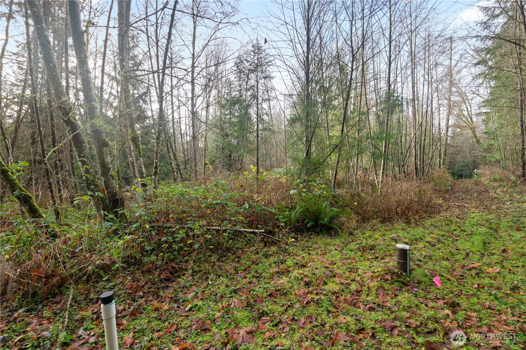 2031 Camber Lane Property Photo 15