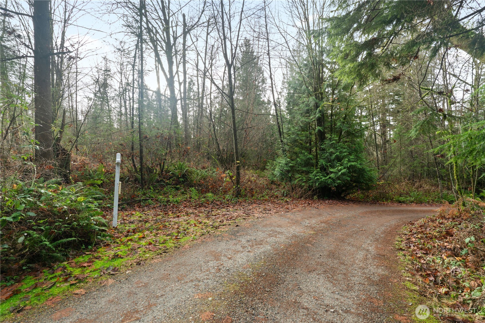 2031 Camber Lane Property Photo 16