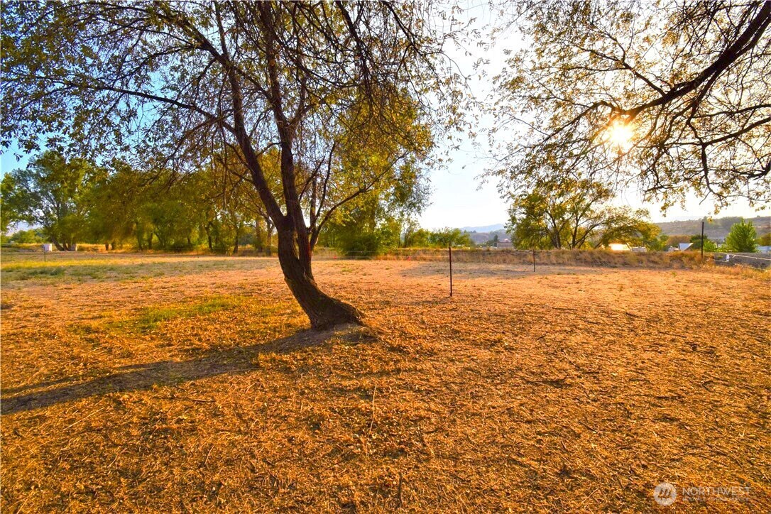 0 Asotin Street Property Photo 10