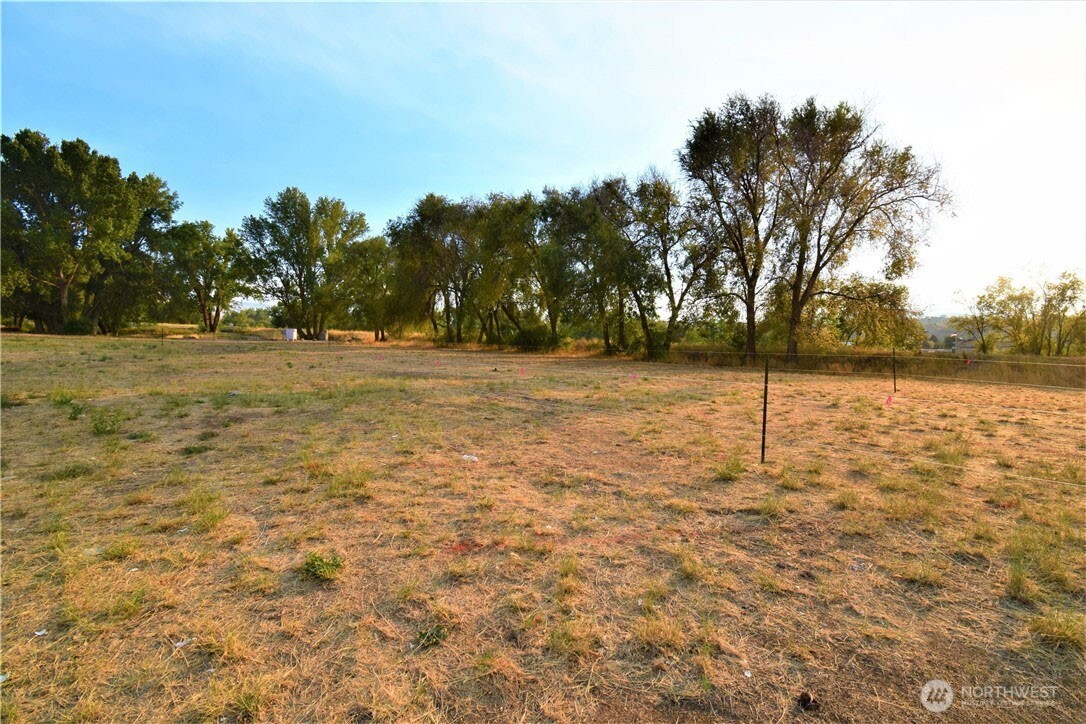 0 Asotin Street Property Photo 11