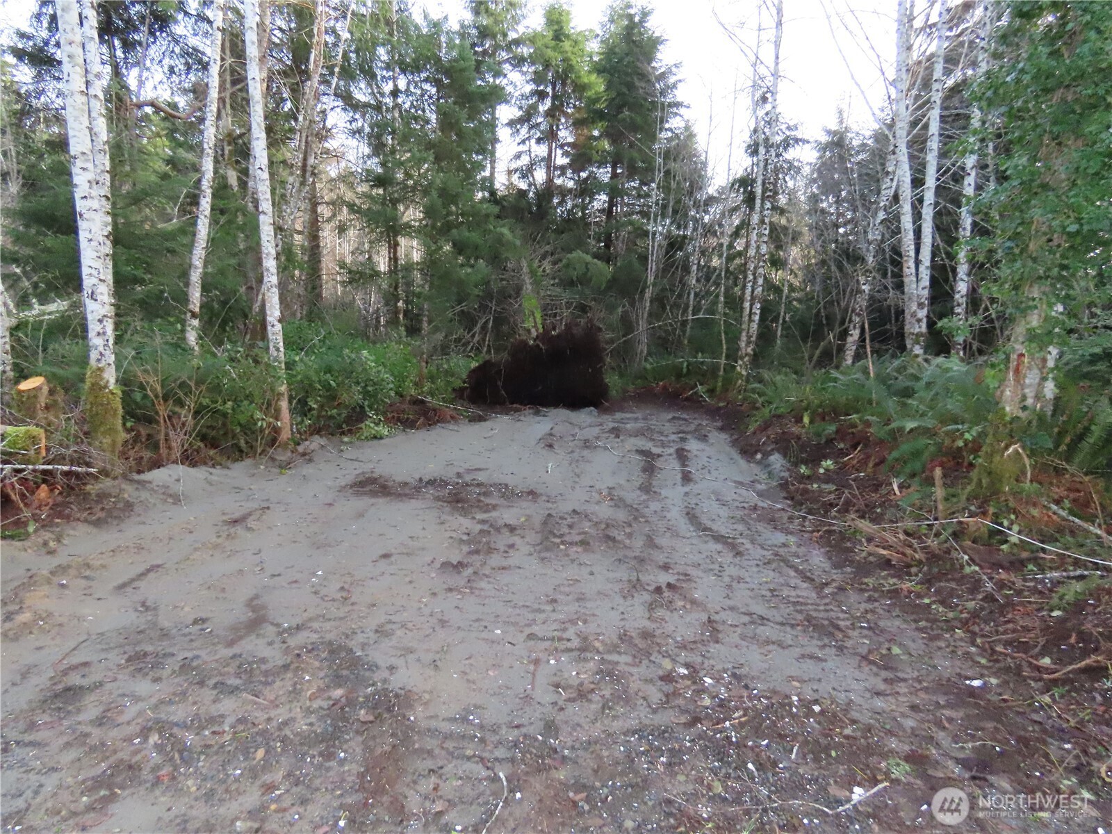 0 Oregon Lane Property Photo 3
