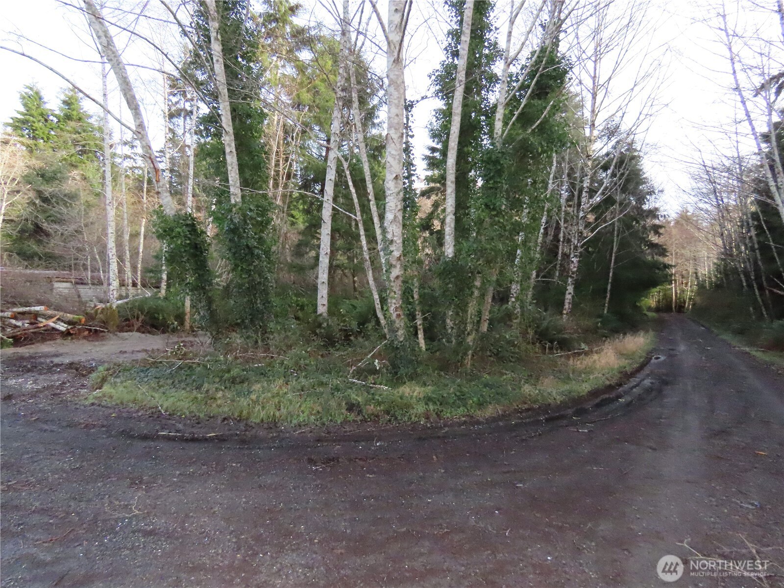 0 Oregon Lane Property Photo 5