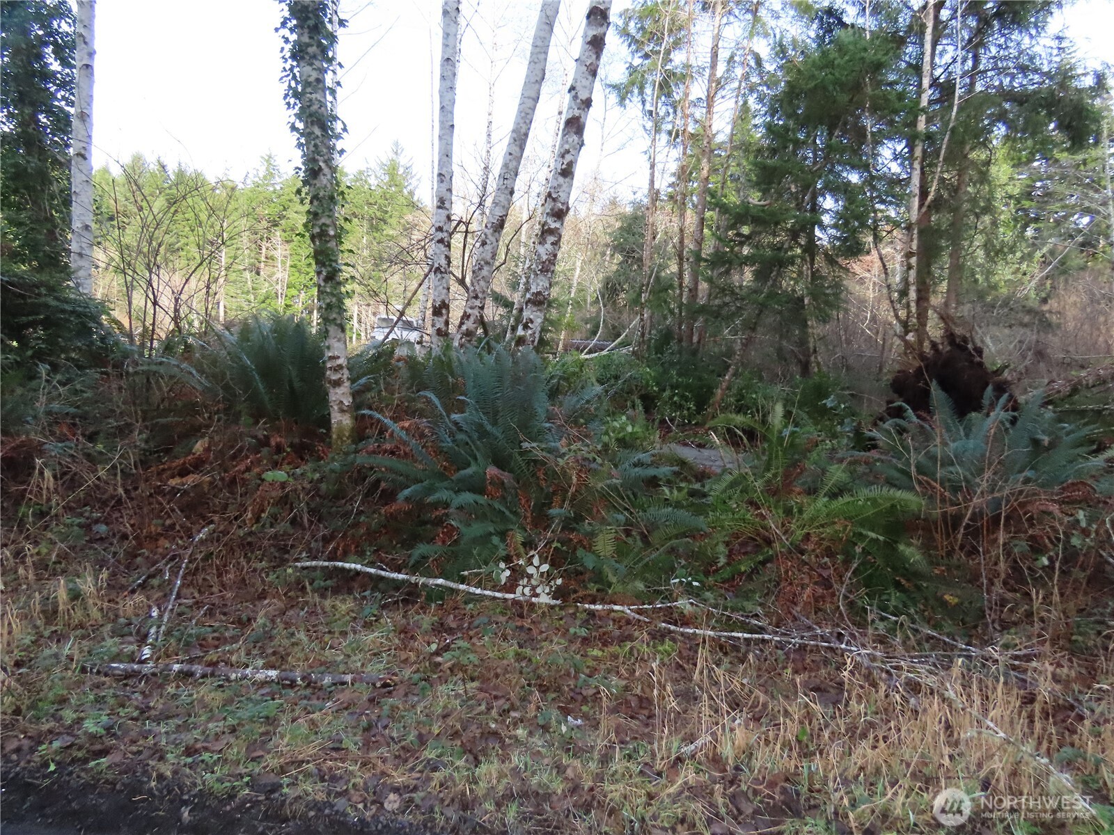 0 Oregon Lane Property Photo 6