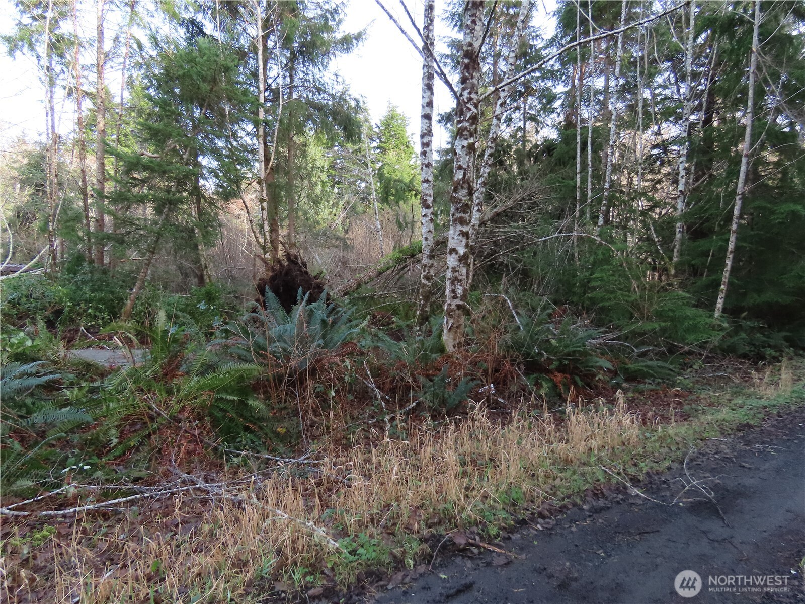 0 Oregon Lane Property Photo 7