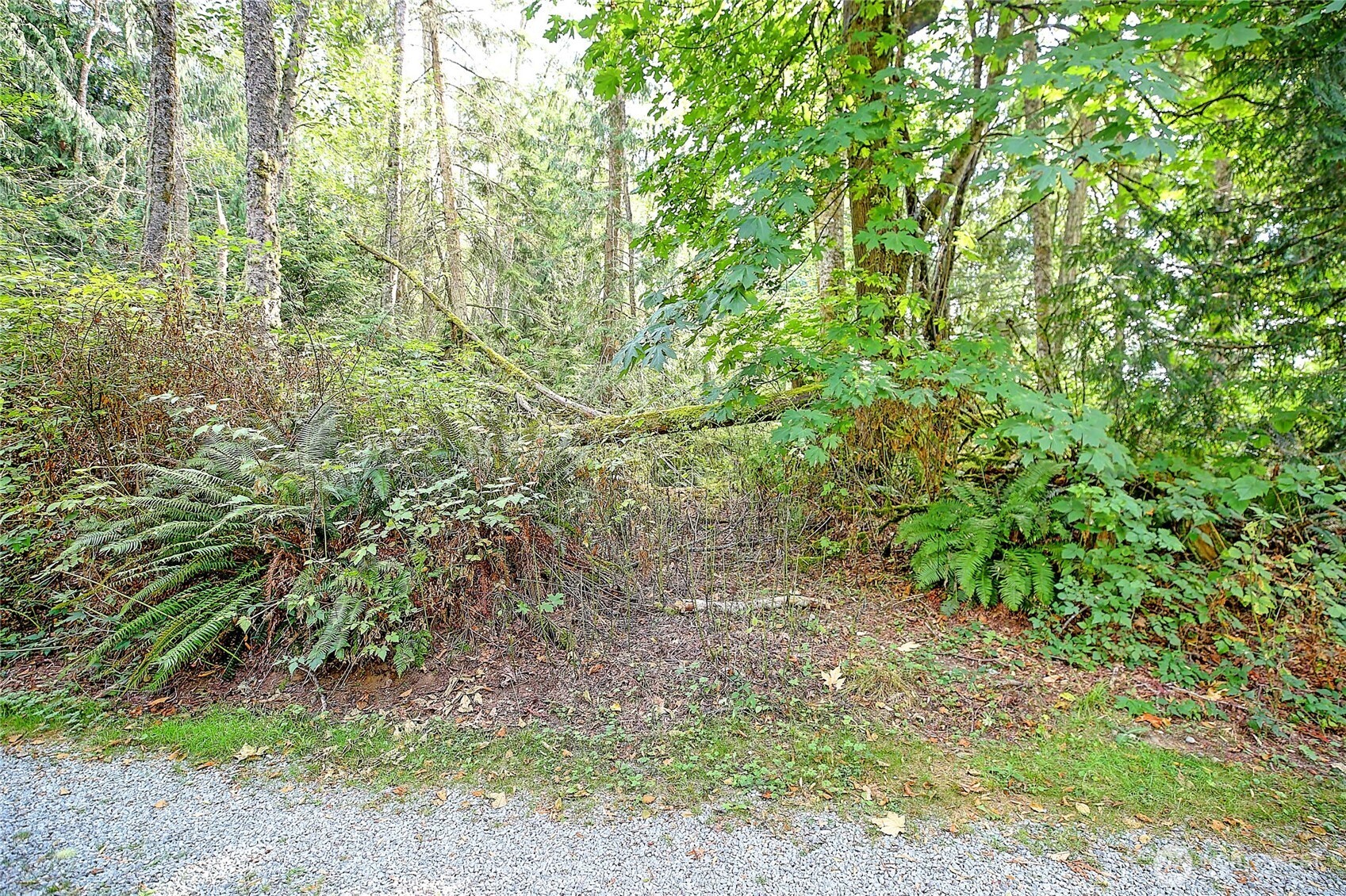 0 Xxx Rateau Drive Property Photo 2