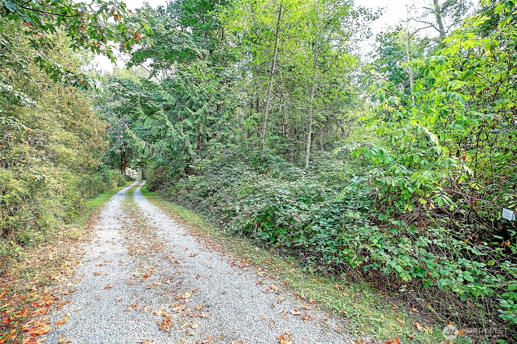 0 Xxx Rateau Drive Property Photo 3