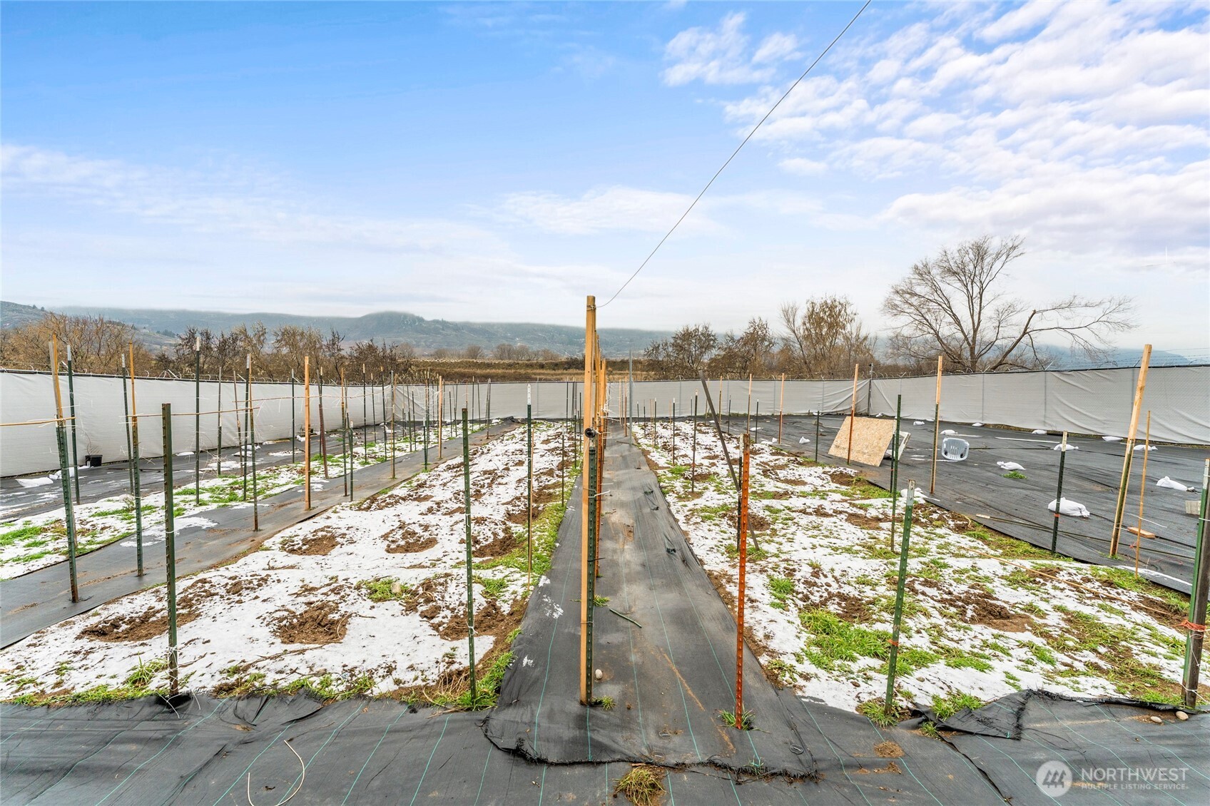 2460726 Property Photo 4