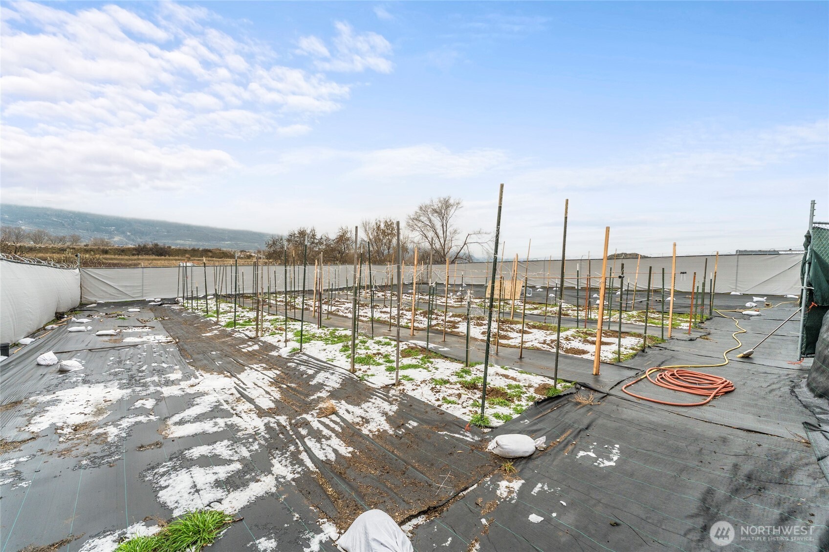 2460726 Property Photo 5
