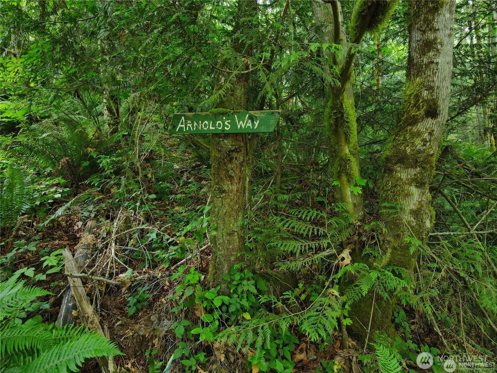101 N Arnolds Way Property Photo 3