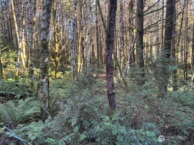 51 E Carols Place Property Photo 11