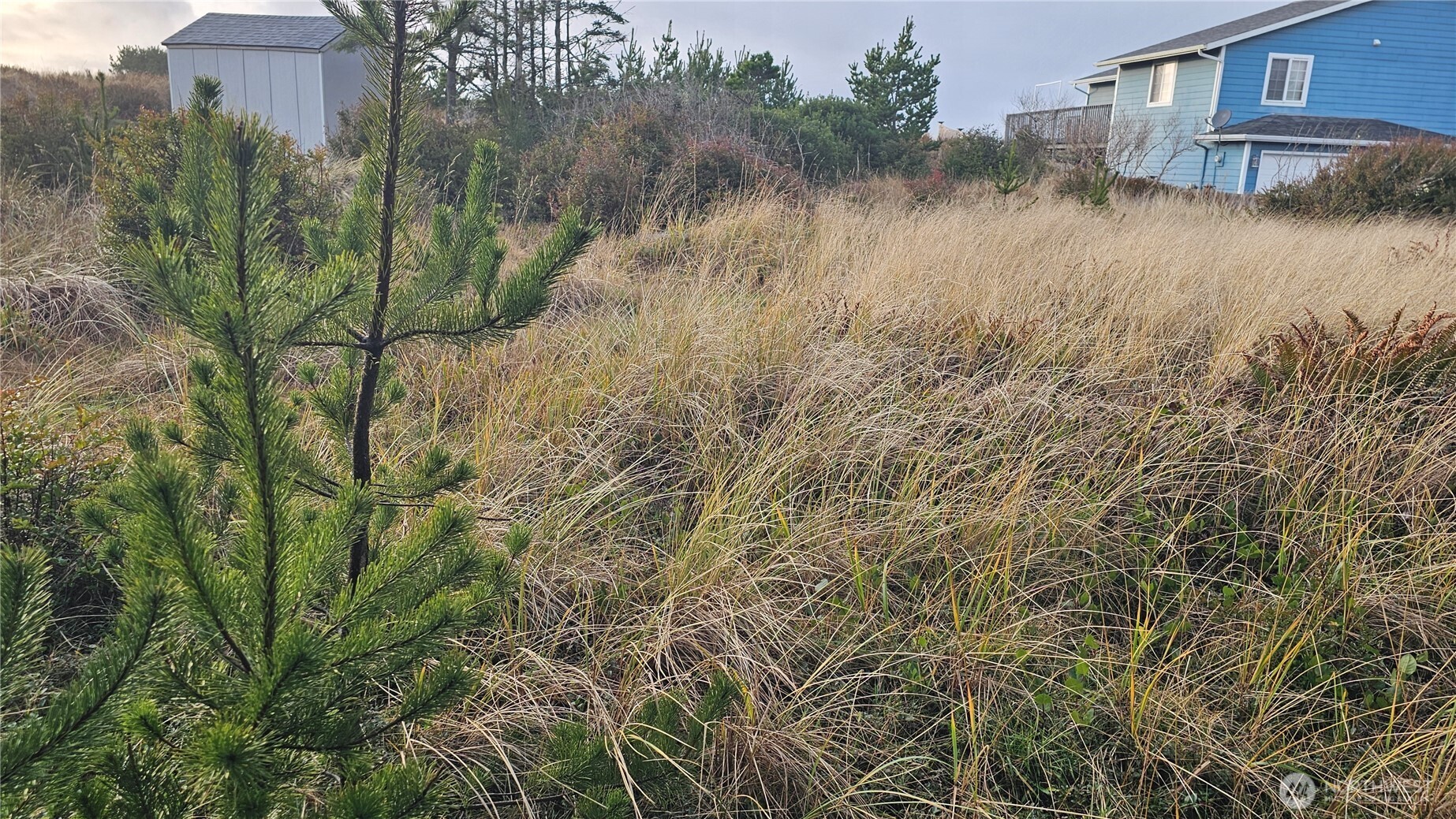 505 347th Place Property Photo 12