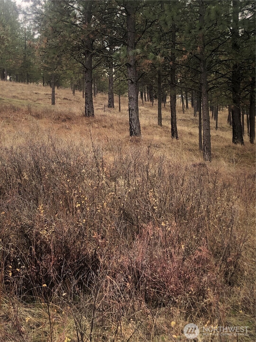 30991 Pine Hen Lane Property Photo 6