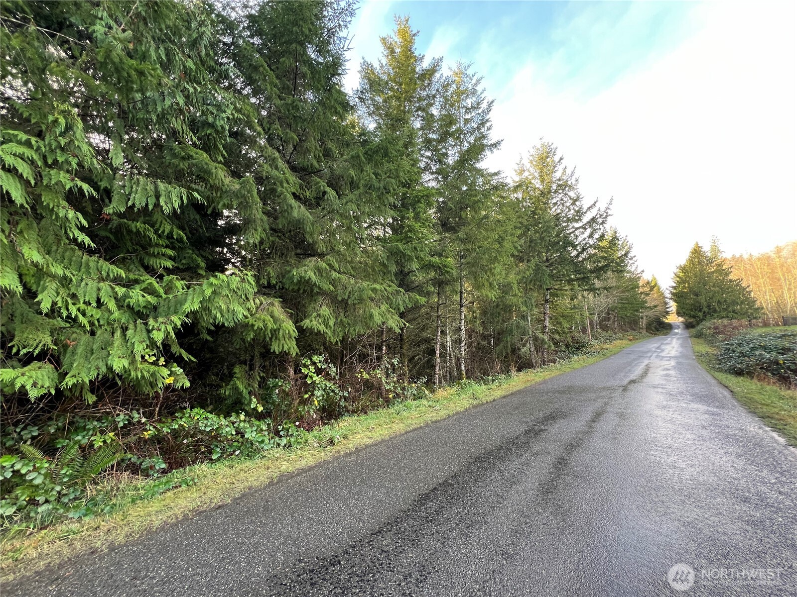 1 Xxx Snow Creek Road Property Photo 2