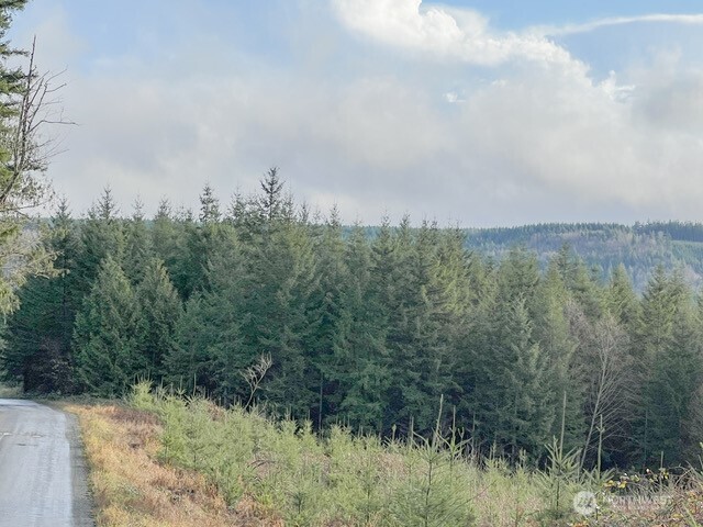 1 Xxx Snow Creek Road Property Photo 3
