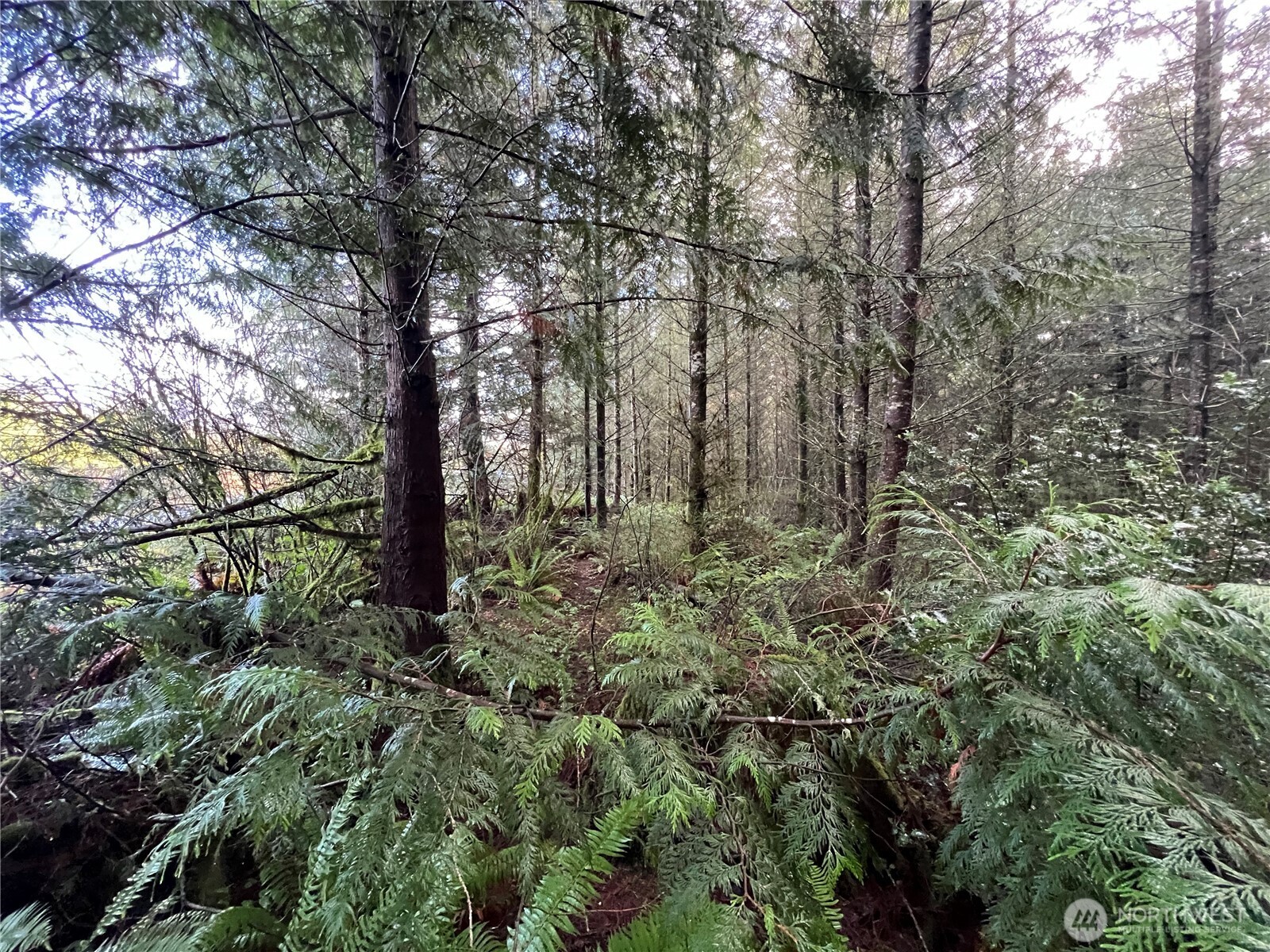 1 Xxx Snow Creek Road Property Photo 4