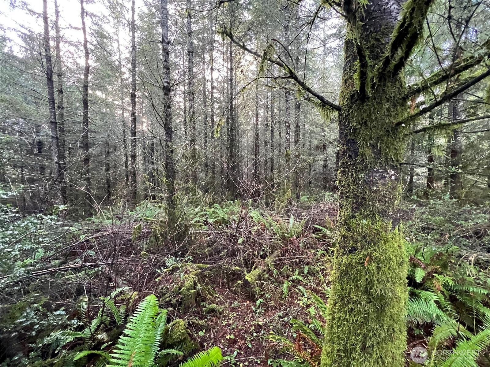 1 Xxx Snow Creek Road Property Photo 5