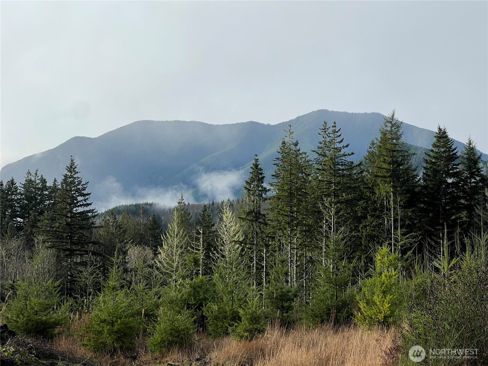 3 Xxx Snow Creek Road Property Photo 1
