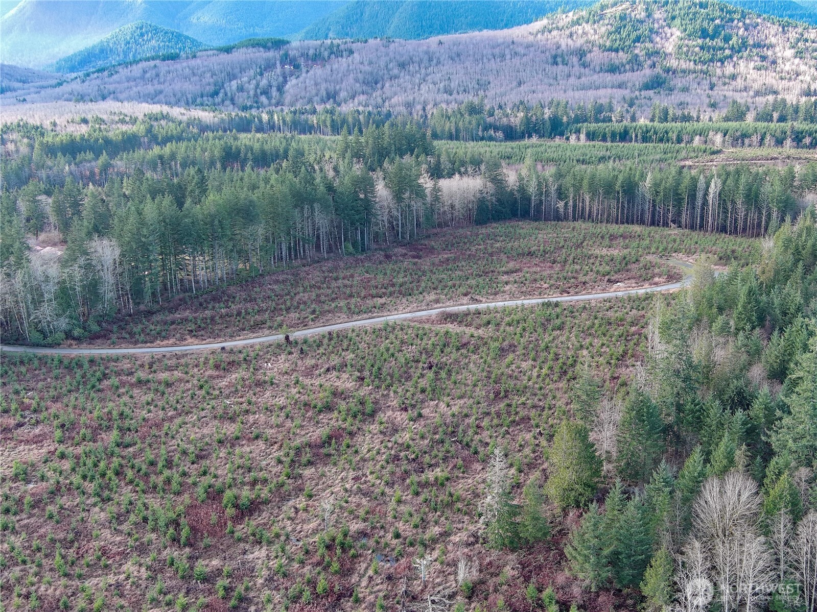 3 Xxx Snow Creek Road Property Photo 3