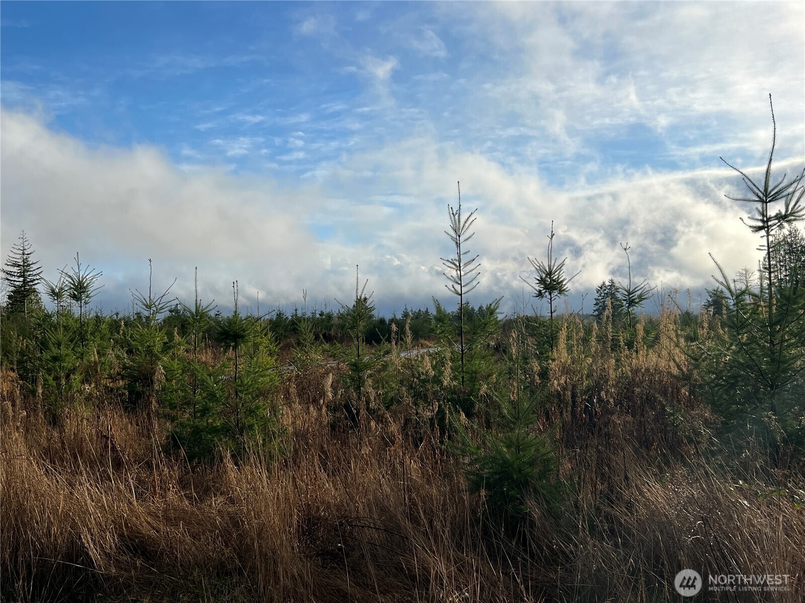 3 Xxx Snow Creek Road Property Photo 5