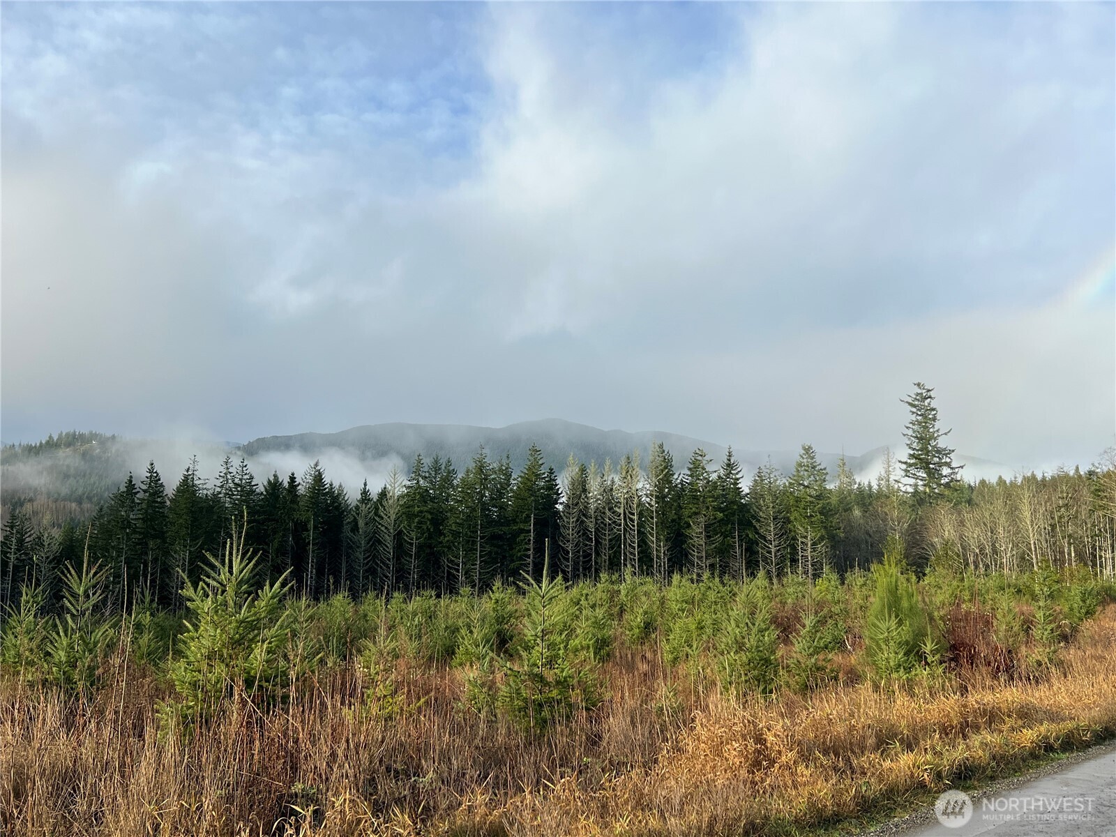 3 Xxx Snow Creek Road Property Photo 7