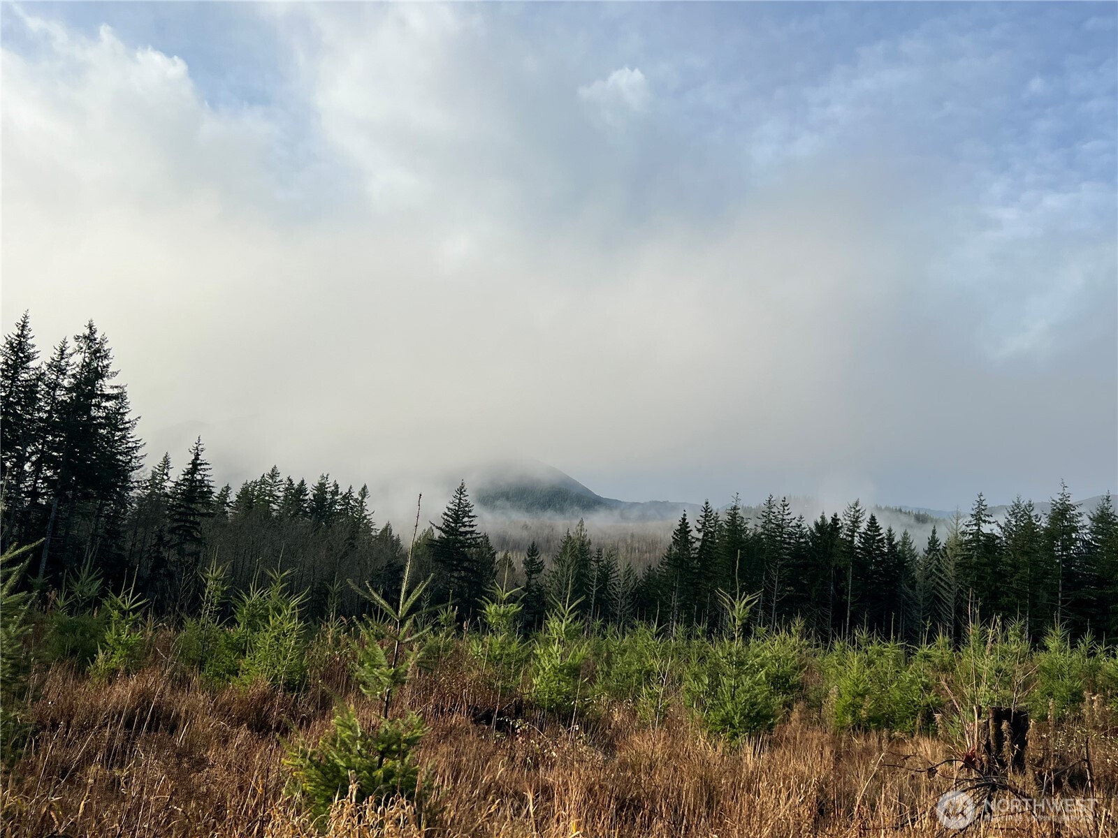 3 Xxx Snow Creek Road Property Photo 8
